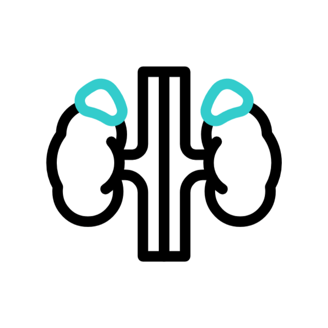 Kidney health