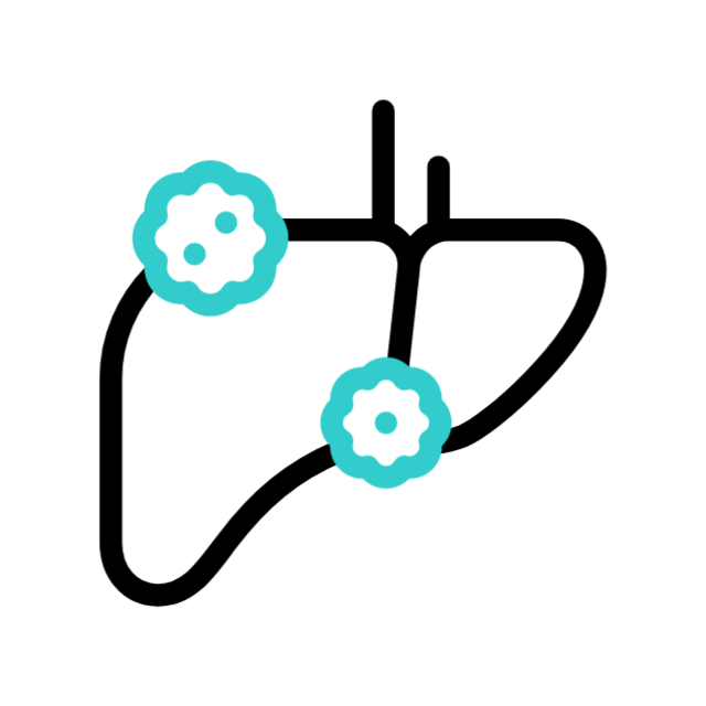 Liver support