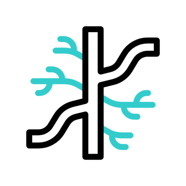 Nervous system support